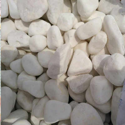 2022臺州園藝白卵石 產(chǎn)品
